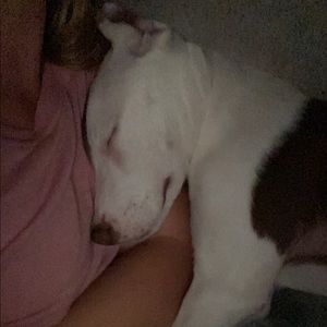 Meet your Posher, Hailey